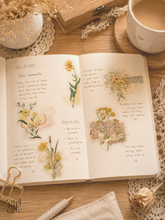 Vintage Botanical Gold Foil PET Stickers — 30pc | Journaling Scrapbook Pack