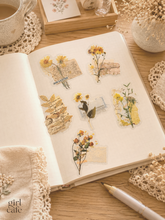 Vintage Botanical Gold Foil PET Stickers — 30pc | Journaling Scrapbook Pack